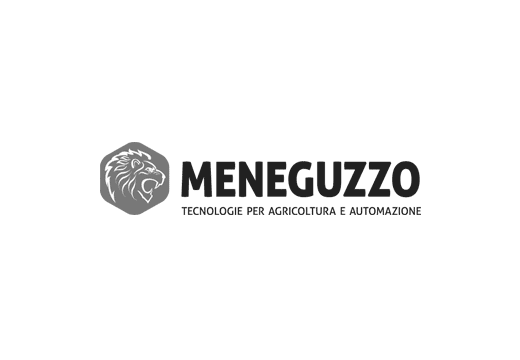 Logo Meneguzzo
