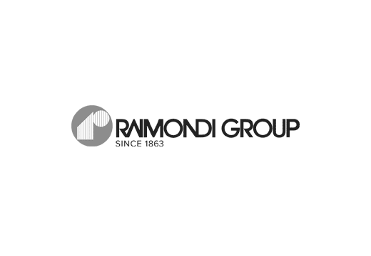 Logo Raimondi Cranes
